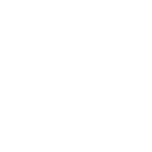 Toilet Repair And Replacement